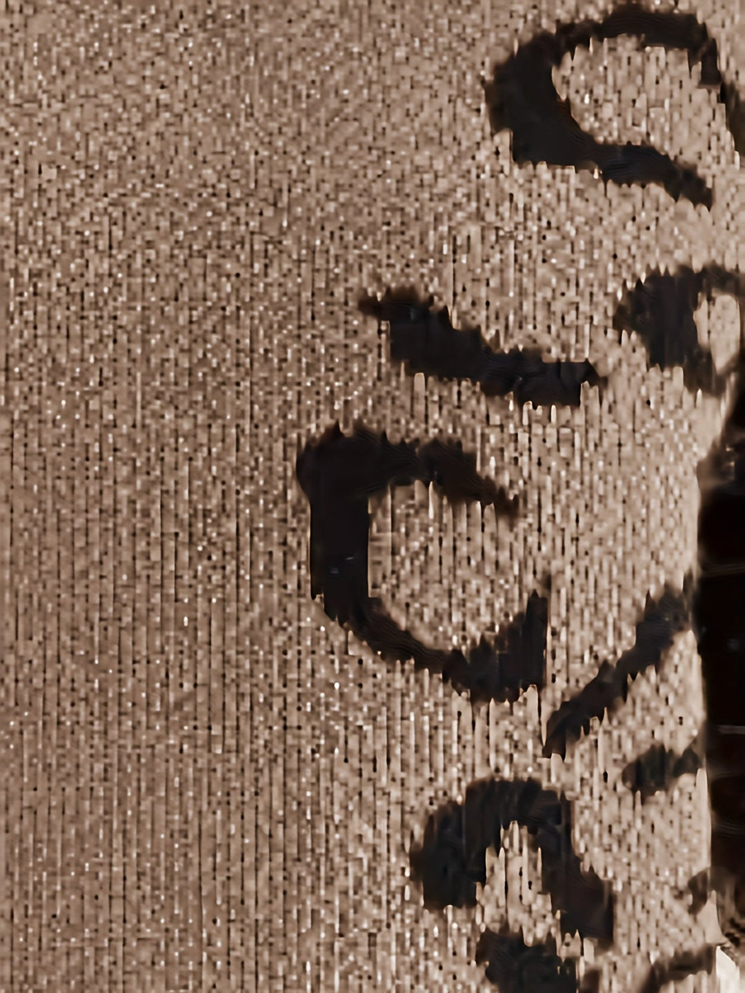 Serena – Chique Dames Trui met Luipaardprint en Ronde Hals